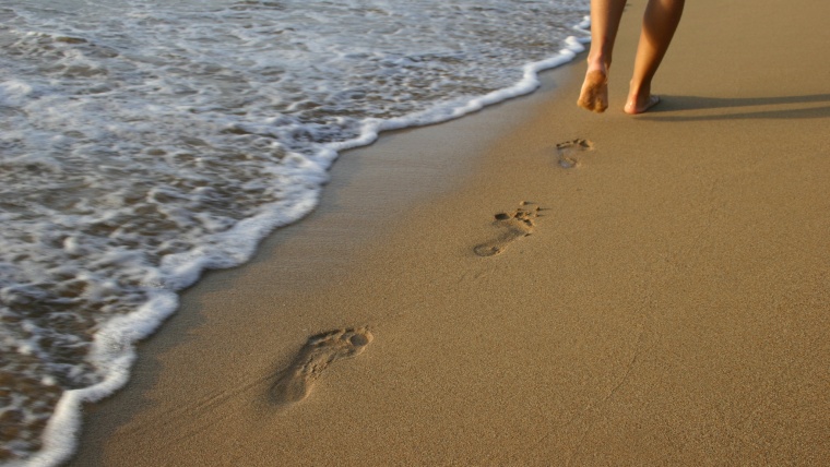 DEJEMOS HUELLA, NO CICATRICES